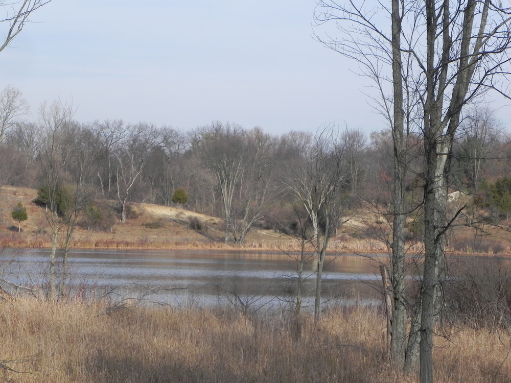 Real Estate Beaver Lake Putnam Homes For Sale Twp Michigan